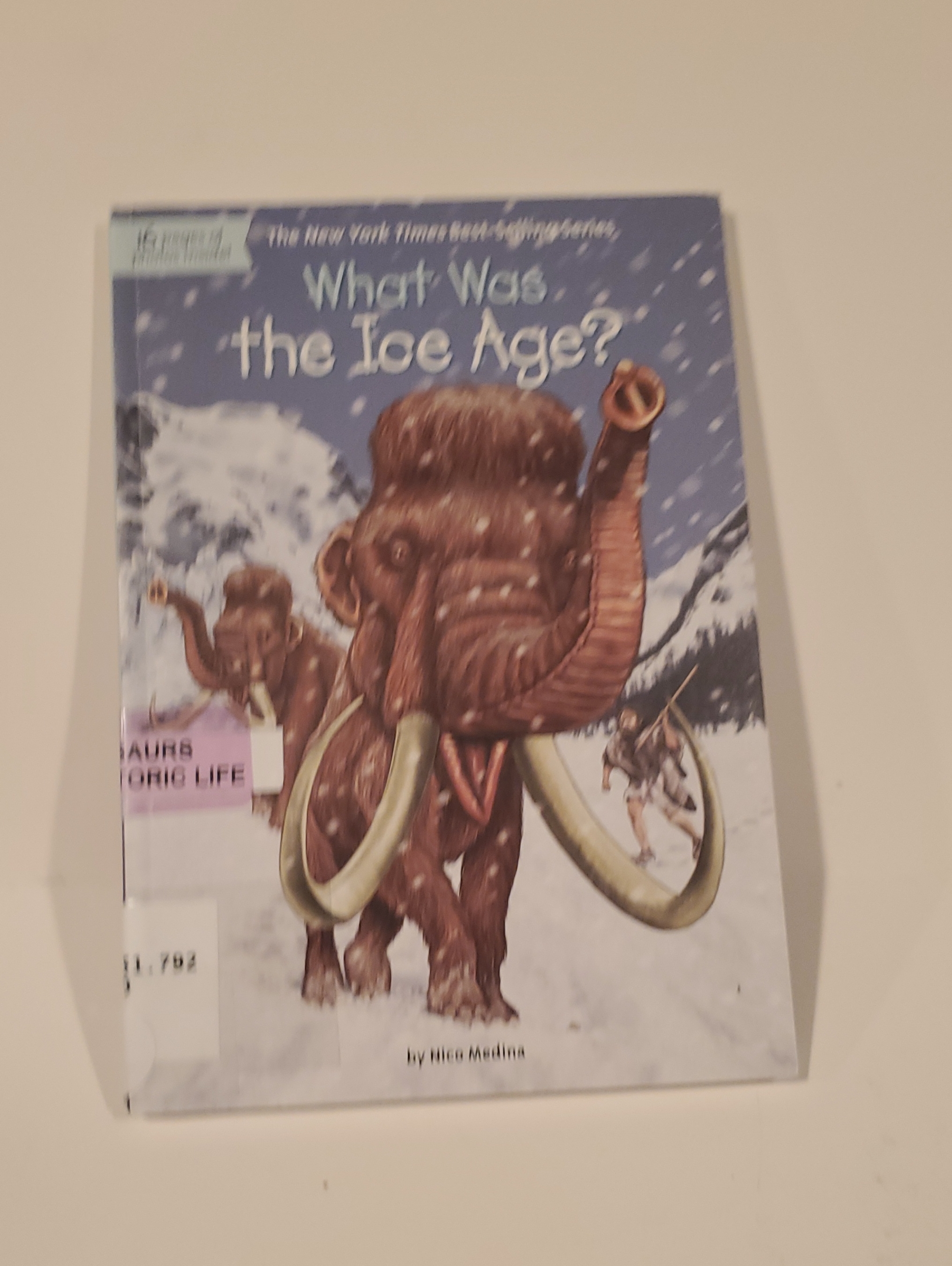 What Was The Ice Age By Nico Medina Paperback Preowned